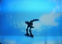 Filename=Swiftwind_II_4.jpg
Filesize=62KiB
Dimensions=640x463
Date added=Mar 04, 2007 Swiftwind_II_4.jpg