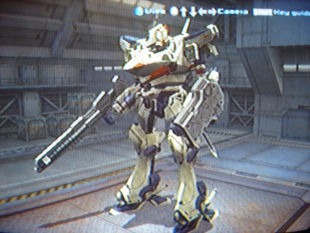 YF-19
