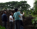 P1101215.jpg
