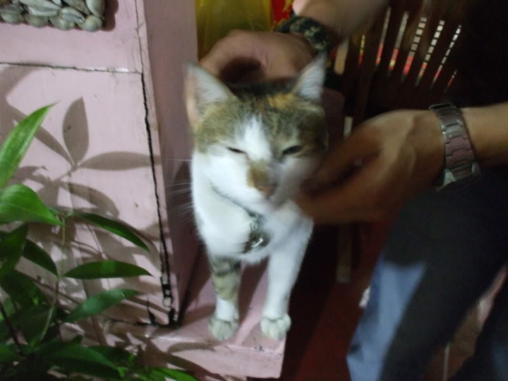 dscf3450.jpg