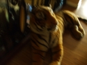 RRFightGameMeet0906.jpg
