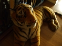 RRFightGameMeet0907.jpg