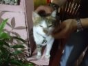 dscf3450.jpg