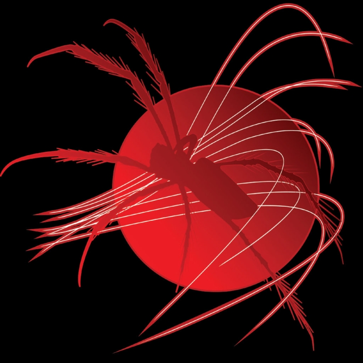 shamir-logo.jpg