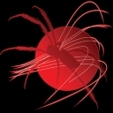 shamir-logo.jpg
