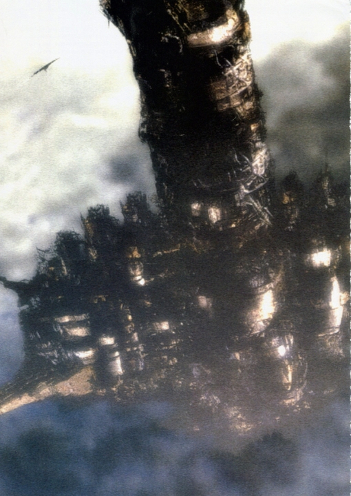 77.jpg