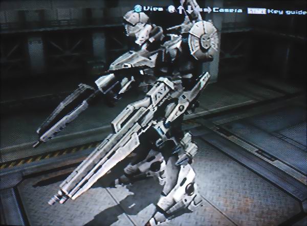 Libertas
Queen-style dual rifle blitzer.

