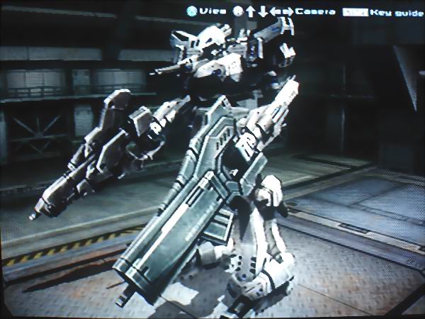 Terminus
Queen-style dual Linear Rifle rusher.
