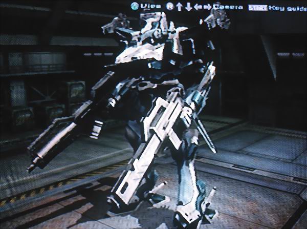 Vairocanum
Queen-style lightweight gunner.
