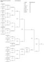 PACT_6_Brackets.png