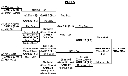 PACT5.gif